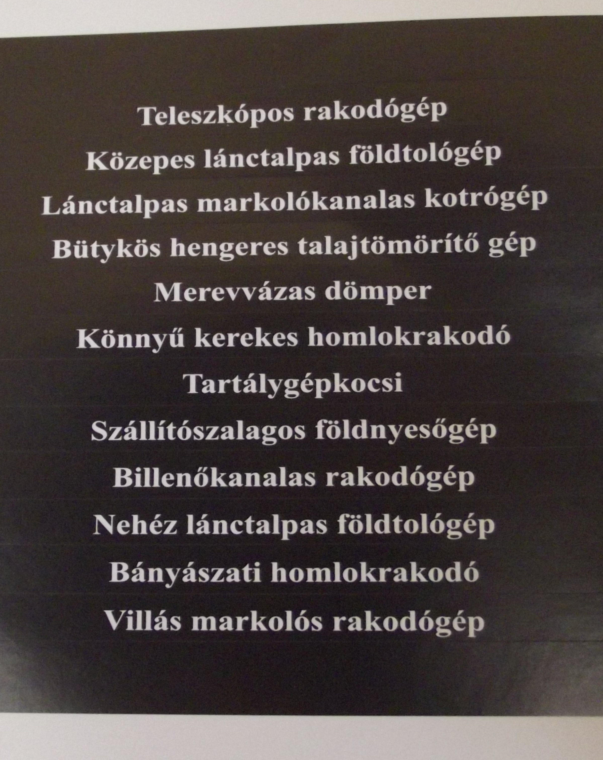 DSCF0583.JPG