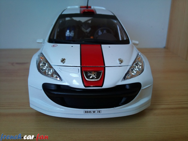 Peugeot 207 S200 IRC Gravel (3).png