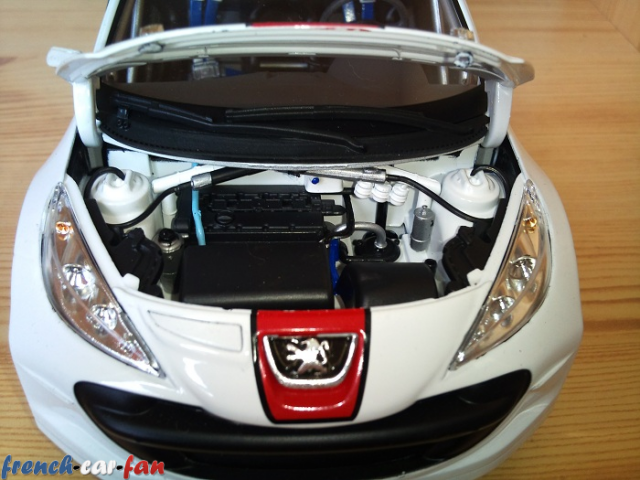Peugeot 207 S200 IRC Gravel (8).png