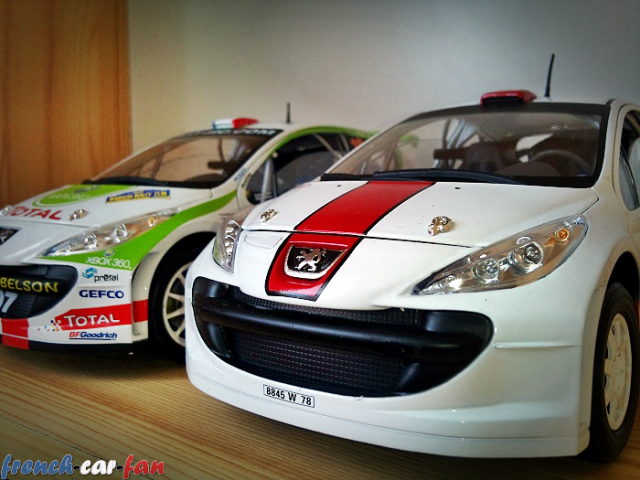 Peugeot 207 S2000 IRC Tamac és Gravel  (2).png