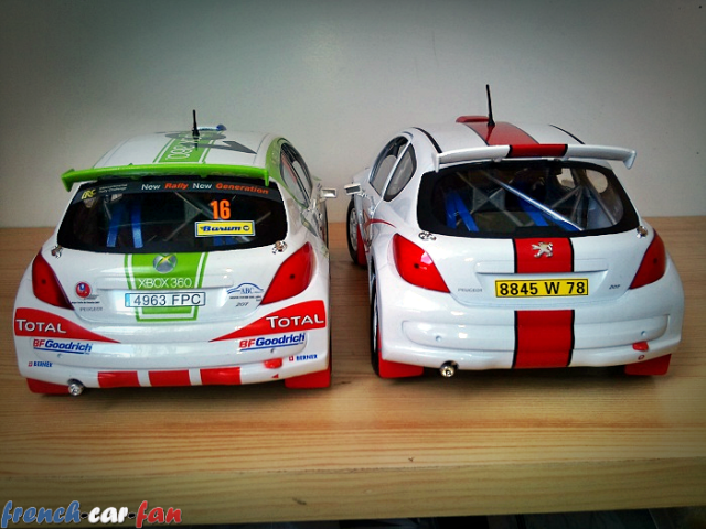 Peugeot 207 S2000 IRC Tamac és Gravel  (4).png