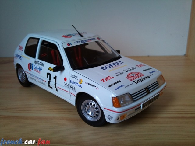 Peugeot 205 GTI Rally Monte Carlo (1).jpg