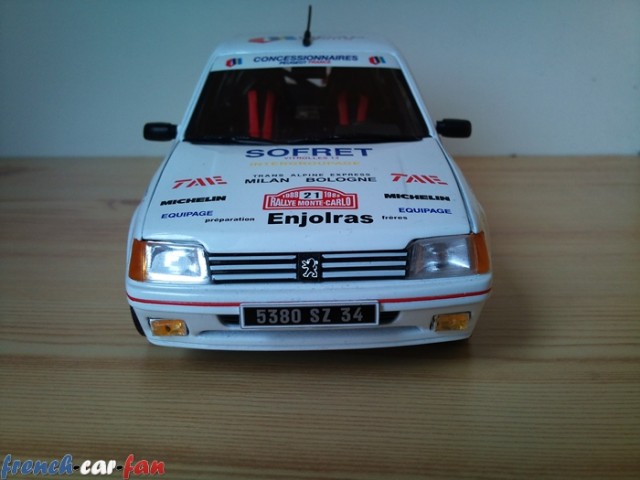 Peugeot 205 GTI Rally Monte Carlo (3).jpg