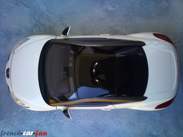 Peugeot 308 RCZ (10).jpg